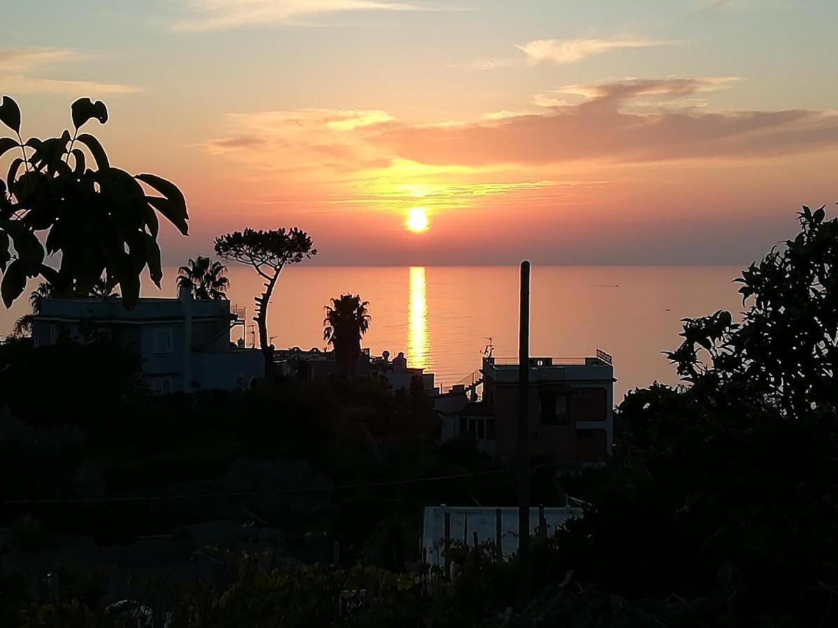 Cimmentorosso 3* Forio di Ischia