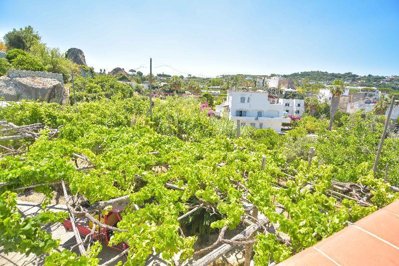 Hotel Cimmentorosso Forio di Ischia