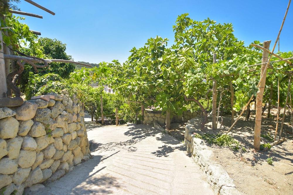 Cimmentorosso Forio di Ischia