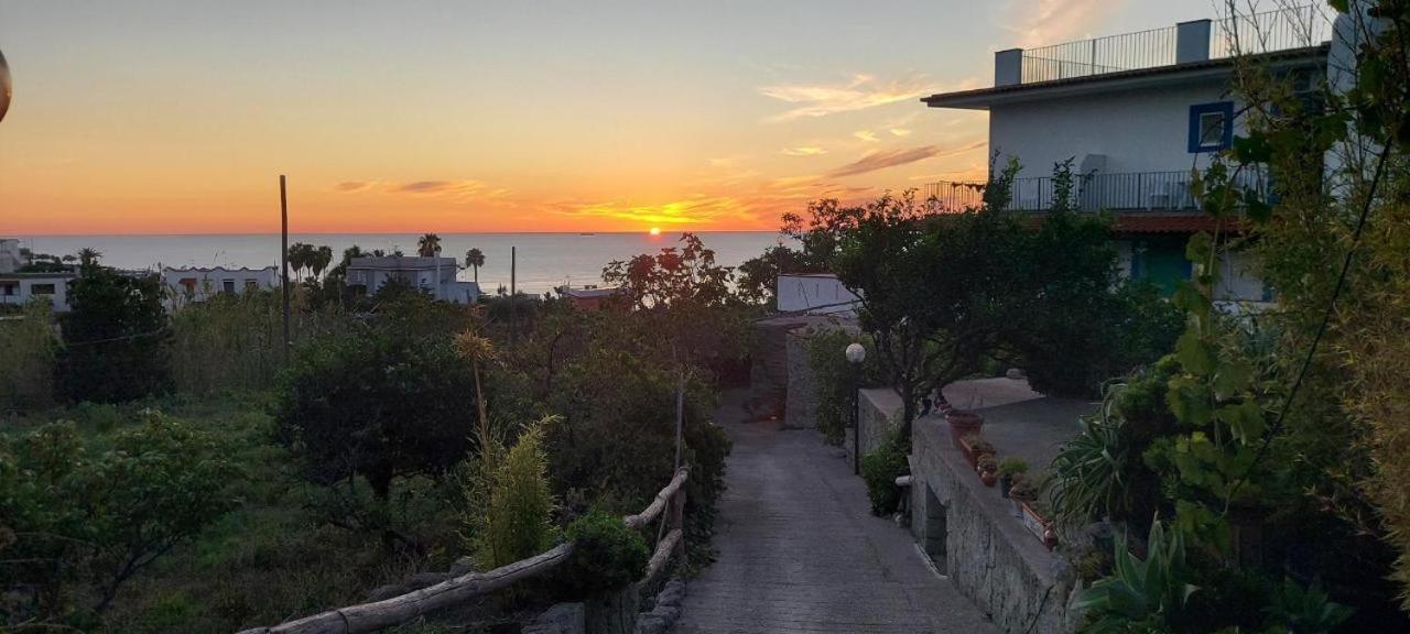 Cimmentorosso Forio di Ischia