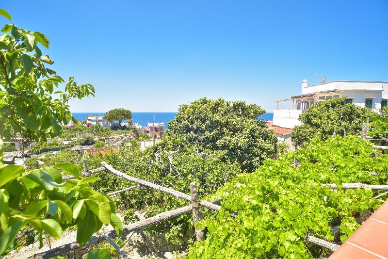 Cimmentorosso 3* Forio di Ischia