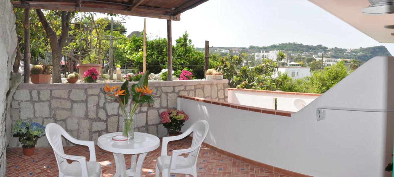Cimmentorosso Forio di Ischia