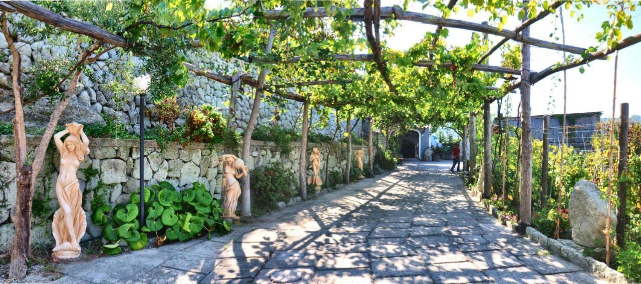 Cimmentorosso 3* Forio di Ischia